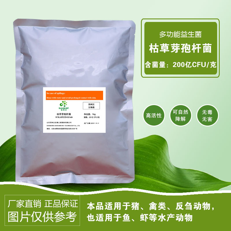 枯草芽孢桿菌.jpg